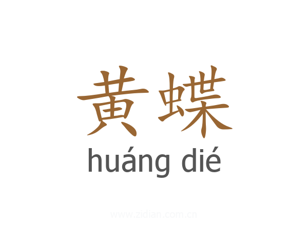 黄蝶
