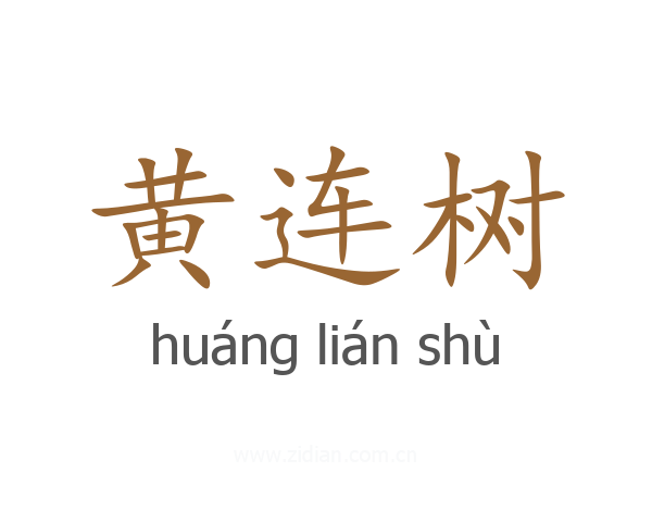 黄连树