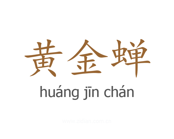 黄金蝉