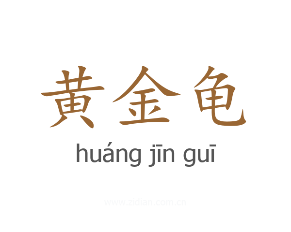黄金龟
