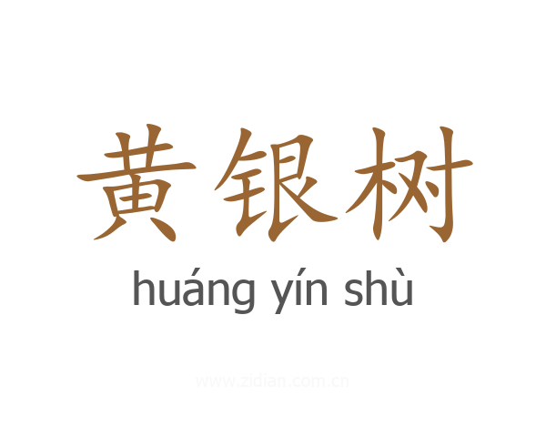 黄银树