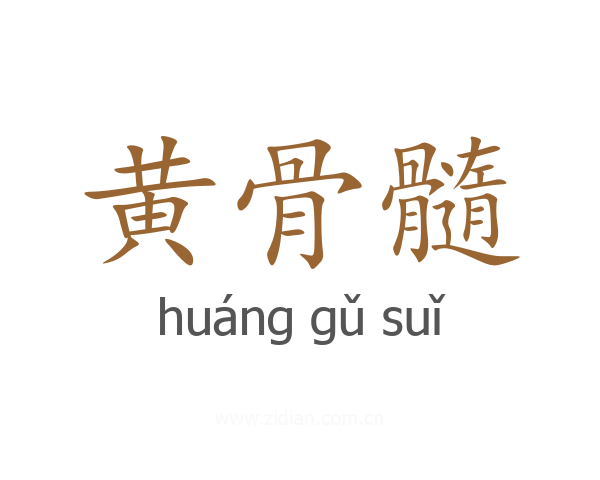 黄骨髓