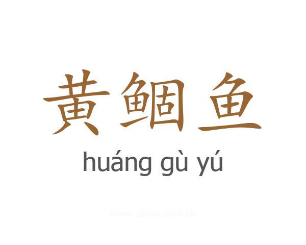 黄鲴鱼