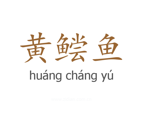 黄鲿鱼