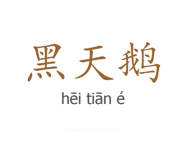 黑天鹅