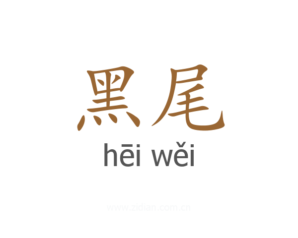 黑尾