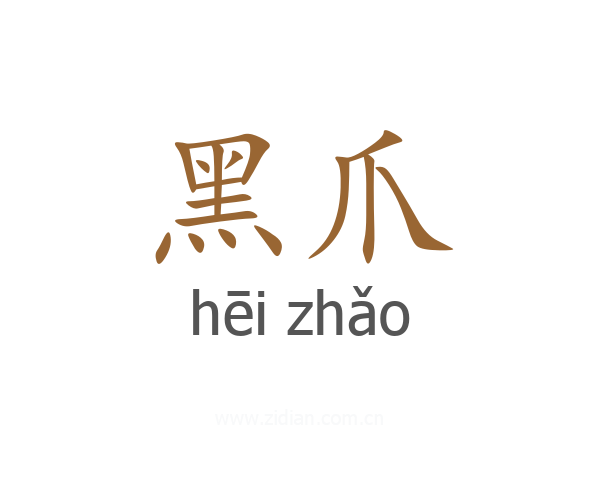 黑爪