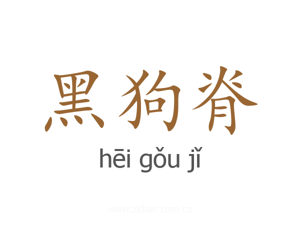 黑狗脊