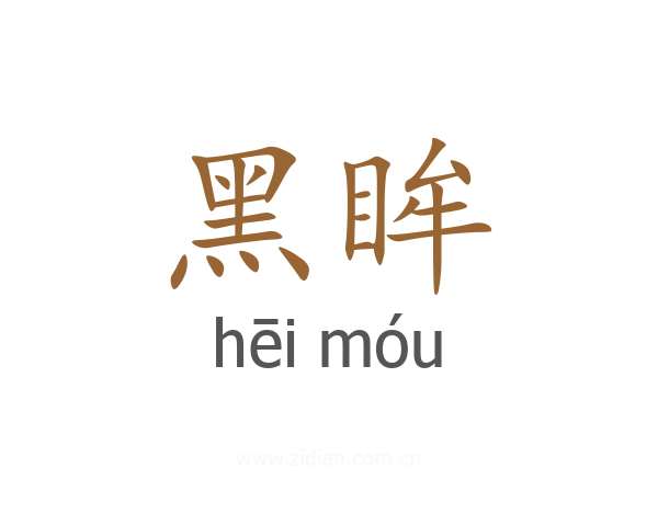 黑眸