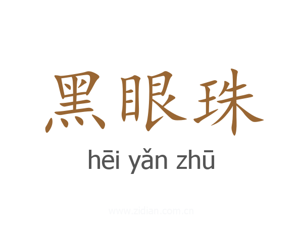 黑眼珠