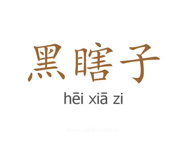 黑瞎子