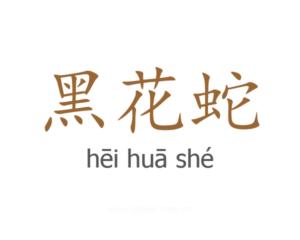 黑花蛇