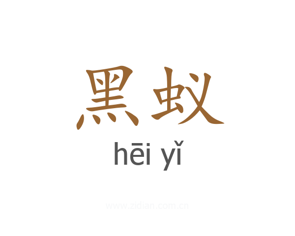 黑蚁