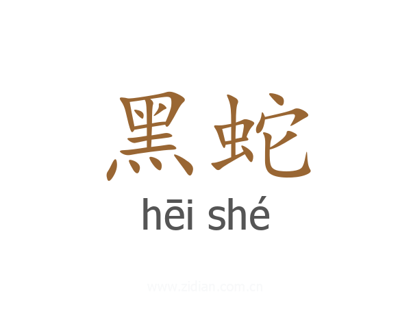黑蛇