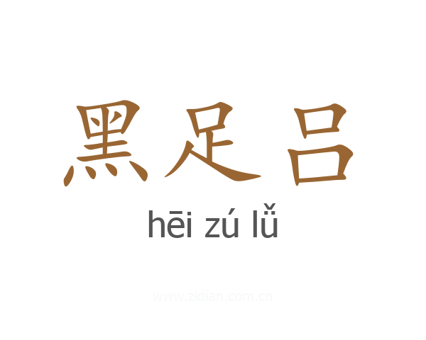 黑足吕