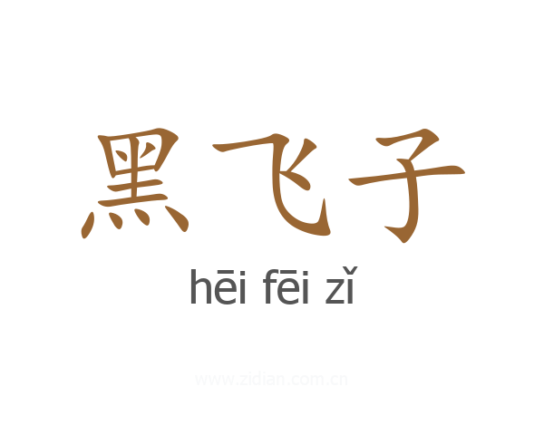 黑飞子
