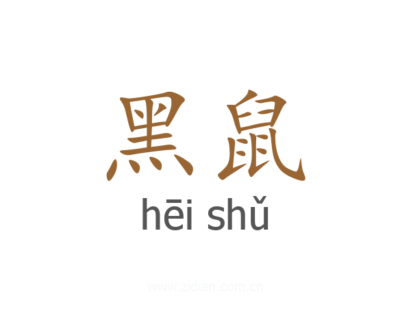 黑鼠