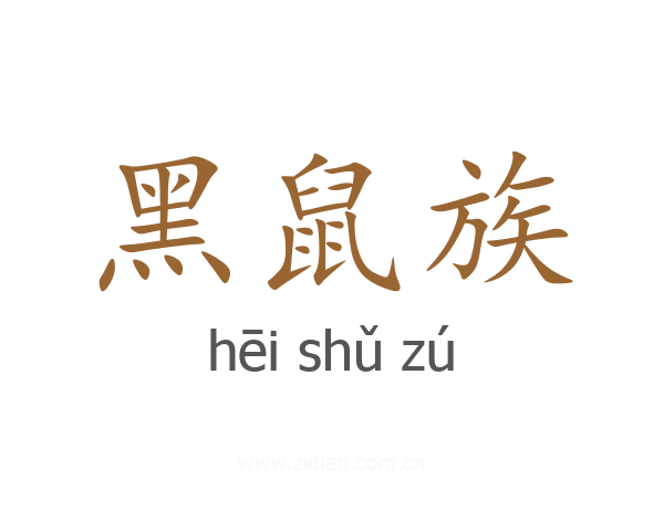 黑鼠族