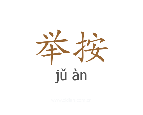 举按
