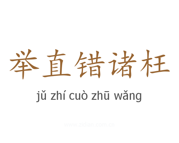 举直错诸枉