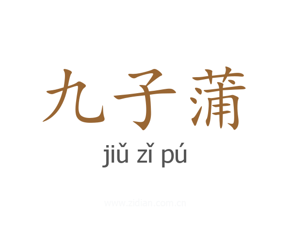 九子蒲
