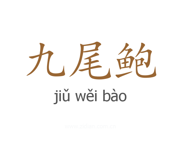 九尾鲍