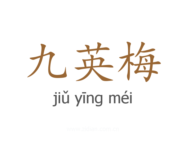 九英梅