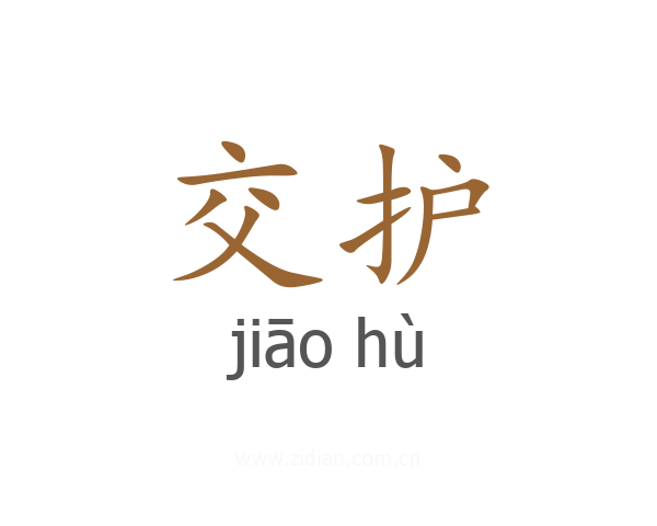 交护