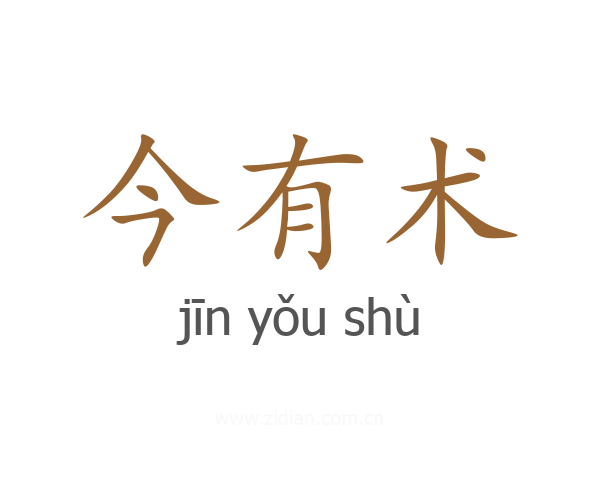 今有术