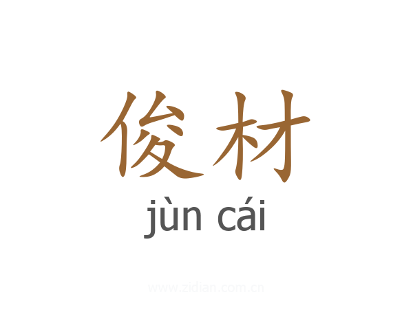 俊材