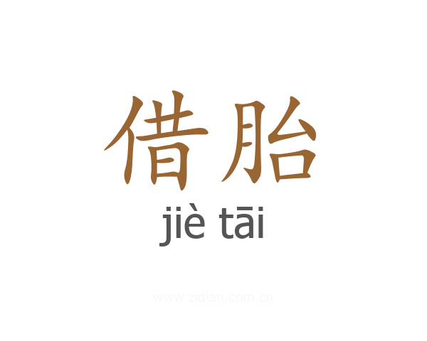 借胎