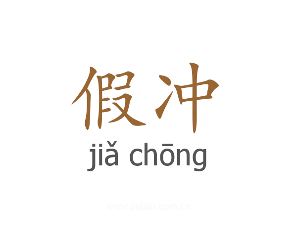 假冲