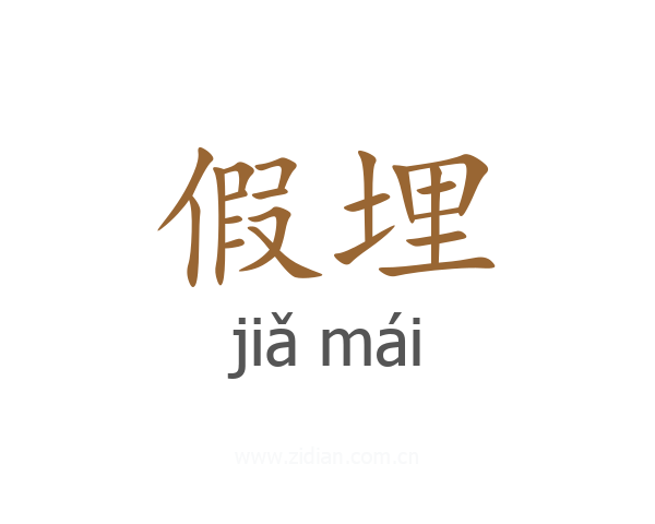 假埋