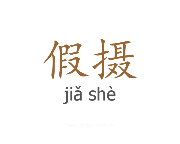 假摄