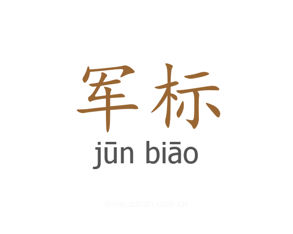 军标