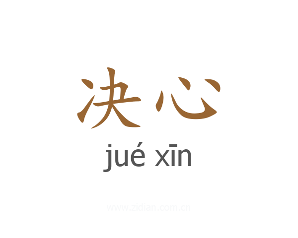 决心