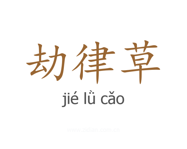 劫律草