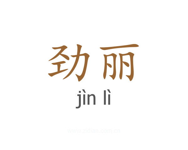 劲丽