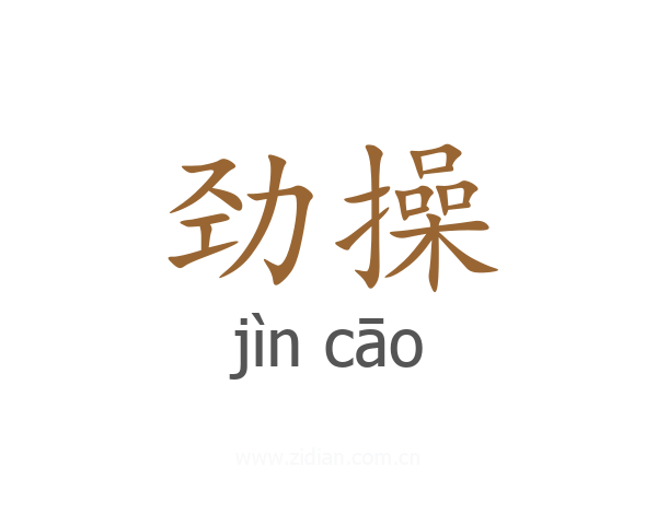 劲操