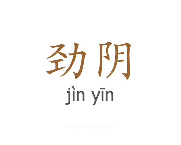 劲阴