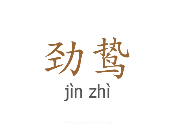 劲鸷