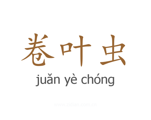 卷叶虫