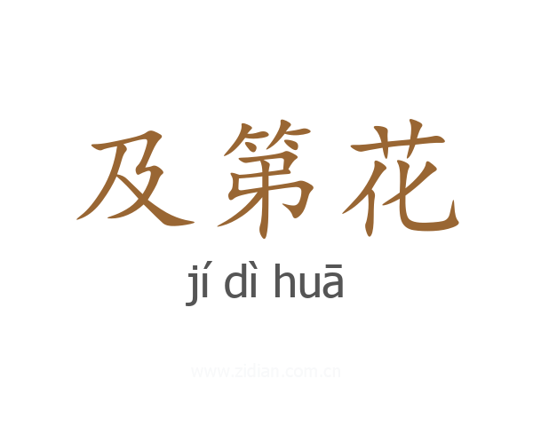 及第花