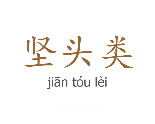 坚头类
