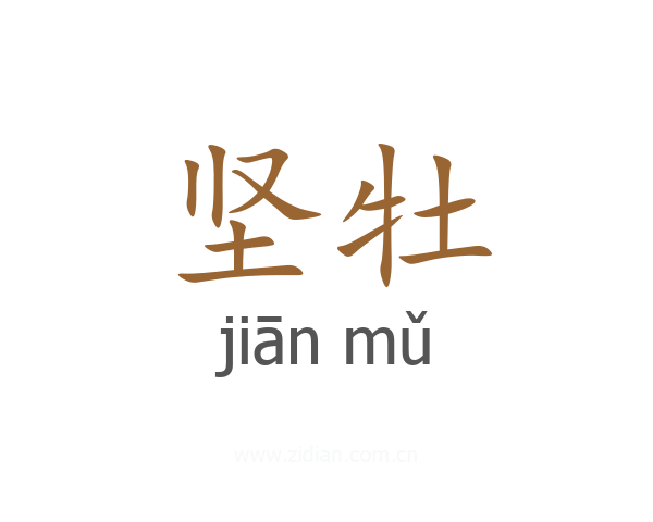 坚牡