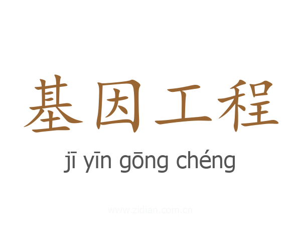 基因工程