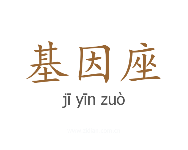 基因座