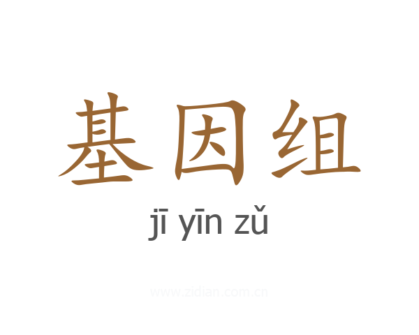 基因组