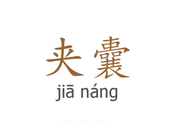 夹囊