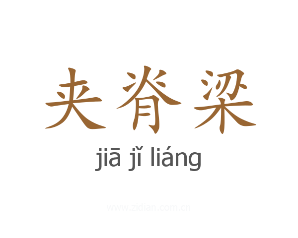 夹脊梁
